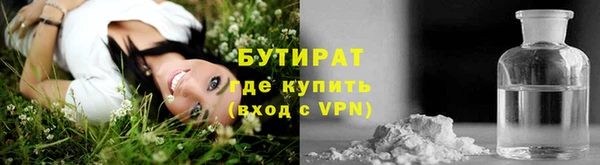 ПСИЛОЦИБИНОВЫЕ ГРИБЫ Гусев