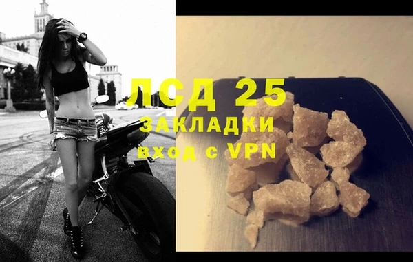 ПСИЛОЦИБИНОВЫЕ ГРИБЫ Гусев