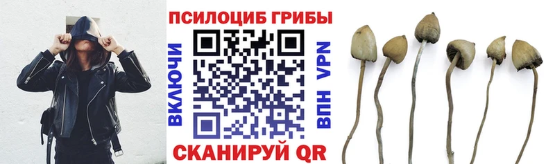 Псилоцибиновые грибы Cubensis  Добрянка 